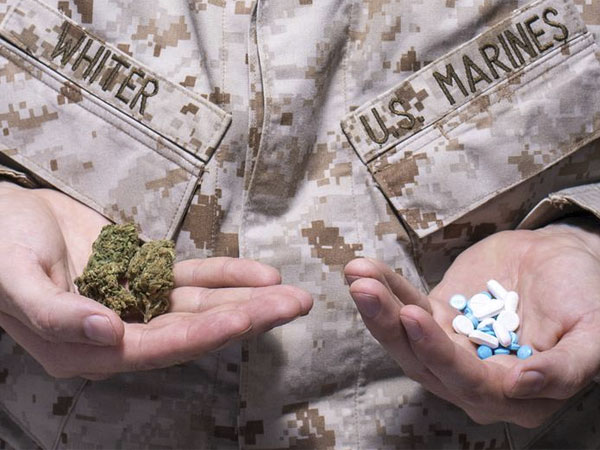 https://cannabisnewsbox.com/2559/news/veterans-want-cannabis-legalized/
