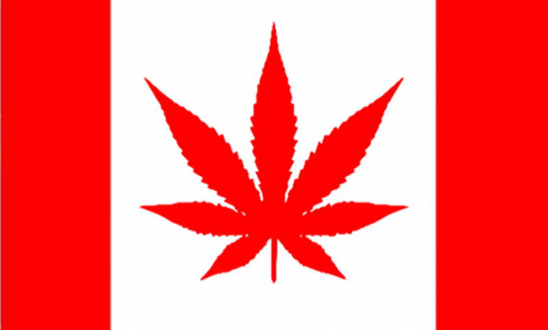 https://www.commdiginews.com/business-2/cannabis-act-canada-passes-103563/