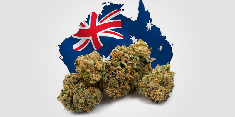 https://herb.co/marijuana/news/green-scene-australia