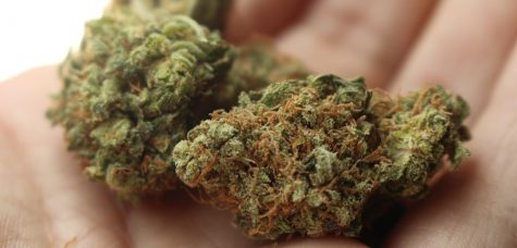 Experts say Canada’s legal cannabis shortages may last years
