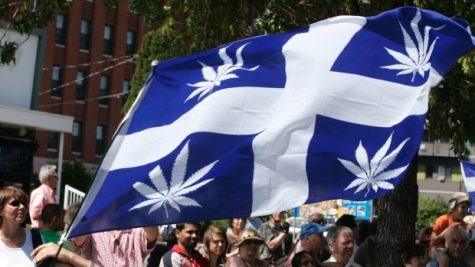 Quebec’s new cannabis law: What does it entail?