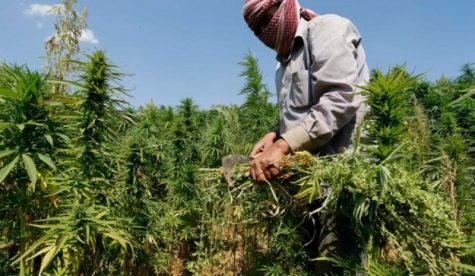 Lebanon could legalize billion-dollar cannabis industry to save poor economy