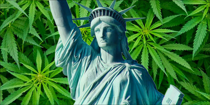 https://herb.co/marijuana/news/new-york-medical-cannabis-laws/