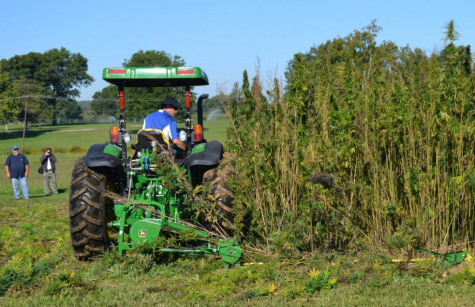 Wisconsin tribe reaches settlement to grow hemp for CBD oil on reservation