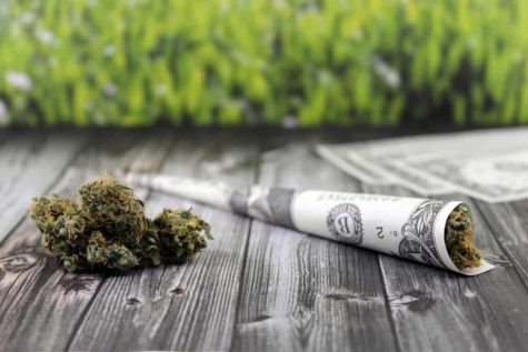 California has released its first draft of permanent cannabis industry rules
