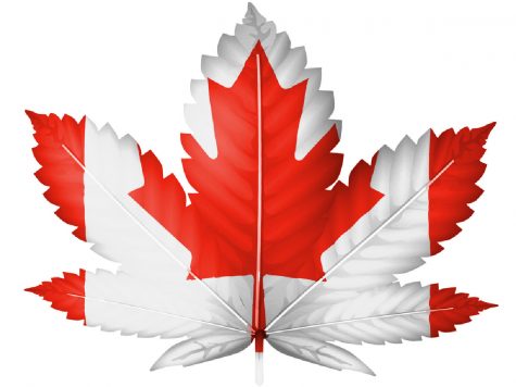 Canada’s legal cannabis industry is not without risk