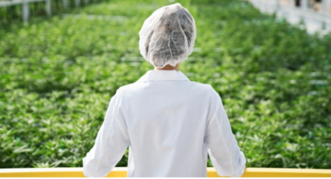 Australian cannabis industry leader Jason Conroy sees big potential in South America