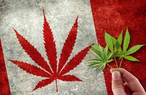 Kahnawake Draft Cannabis Legislation will prevent problems that occurred within the tobacco industry