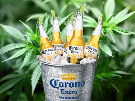 Constellation Brands invests $4 billion in Canopy Growth and stocks skyrocket