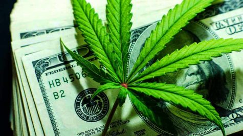 Cannabis stocks plummet following Canada’s cannabis legalization