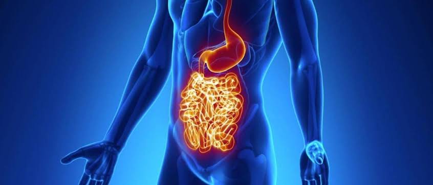 Cannabis may relieve the symptoms of Crohn’s disease, scientists say