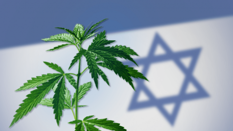 Business deals with Canada contribute to Israel’s status as pioneer in medical cannabis R&D