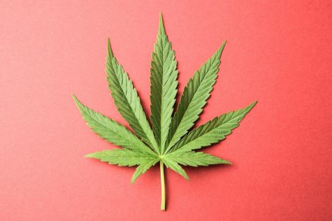 Two out of three Americans support the idea of cannabis reform