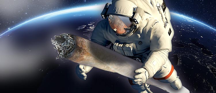 Cannabis in Space is on the horizon