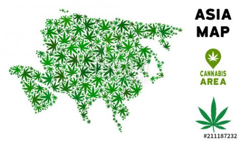 Attitudes towards cannabis are changing in Asia, say cannabis executives and investors
