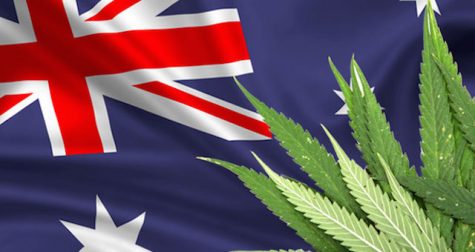 Australia starts exporting locally-grown medical cannabis products to Germany