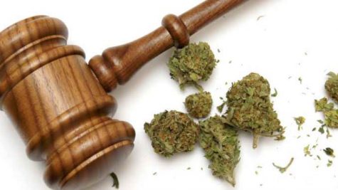 New Mexico cannabis provider wins plant count lawsuit against NMDOH