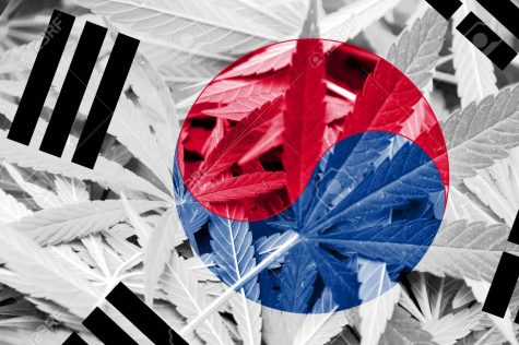This conservative East Asian country just legalized medical cannabis