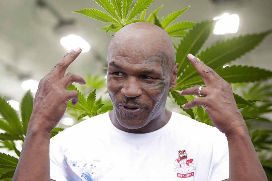 Former+heavyweight+champion+Mike+Tyson+to+host+cannabis-themed+music+festival