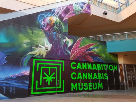 Visiting Vegas? Don’t forget to see the world’s largest bong inside Cannabition