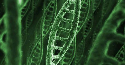 Cannabis studies of 2018: Reviewing the most prominent findings