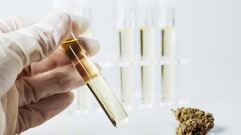 https://www.cannabisbusinesstimes.com/article/5-things-cultivators-should-know-cannabis-potency-testing/