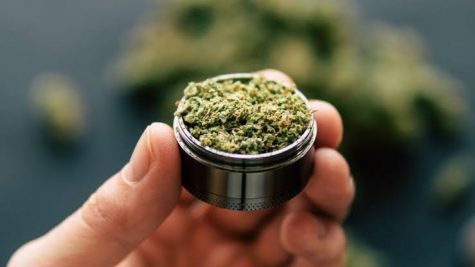 Canadian government recalls another cannabis brand after detecting mold