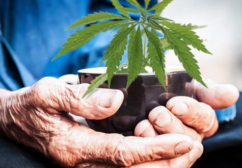 Alzheimer’s Research UK funds cannabis trial for dementia sufferers