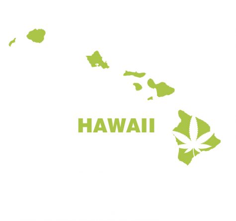 Hawaii’s Cannabis Visiting Patient Program: Tourists allowed to buy medical weed on the volcanic archipelago