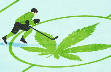 The NHL Alumni Association is conducting a cannabis study to help former players substitute opioids for weed