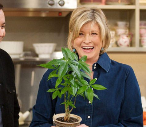 Martha Stewart’s new favorite ingredient is cannabis