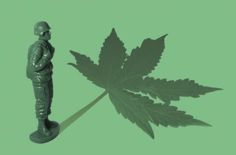 Military veterans organizations press congress on medical cannabis research