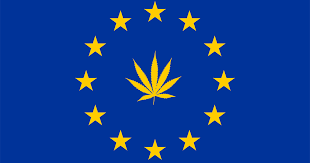 https://www.google.com/search?q=europe+cannabis&safe=strict&source=lnms&tbm=isch&sa=X&ved=0ahUKEwi90fnft_fhAhX6ShUIHSWJB8AQ_AUIDygC&biw=1280&bih=689