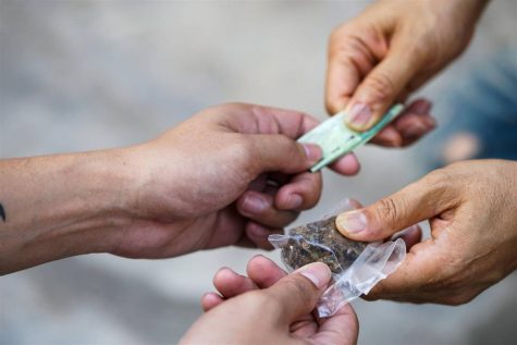 Black market weed in Canada is undercutting legal dried cannabis on price, Statistics Canada