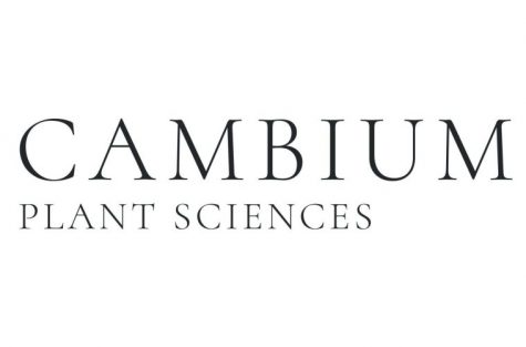 Supreme Cannabis launches a cannabis genetics company Cambium Plant Sciences