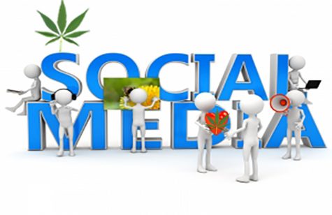 Cannabis videos spark social media trend after garnering over three billion views