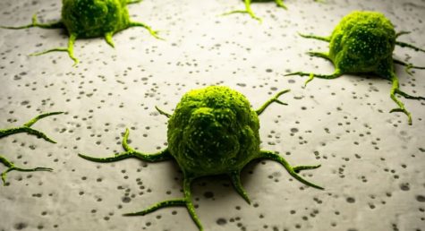 More cancer patients are treating chronic pain with cannabis rather than opioids