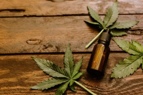 Cannabis companies are taking a keen interest in wellness trends