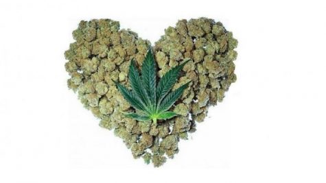 Researchers say cannabis could be used to prevent heart attack