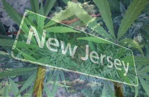 New Jersey offers employment protections for registered medical cannabis patients