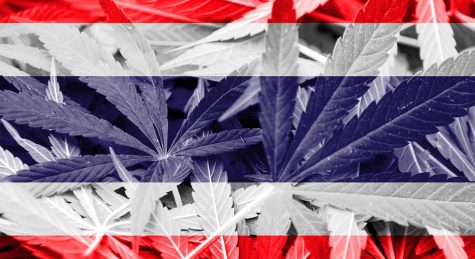 Thai people can now procure free cannabis in first full-time clinic