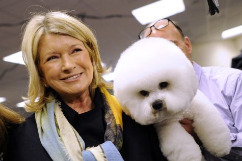 Martha Stewart is collaborating with Canopy Growth to launch a CBD line for pets