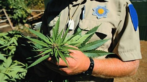 Feds spent more money on cannabis prohibition and furniture in 2018 combatting terrorism