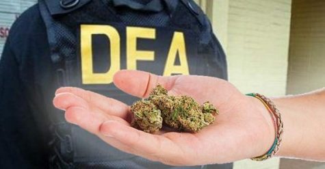 DEA responds to lawsuit, pushing forward with medical cannabis research applications