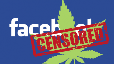 Facebook sued by seven Oklahoma medical cannabis businesses for discrimination