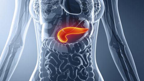 Scientists discover cannabis chemical could help fight pancreatic cancer