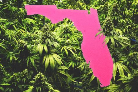 Cannabis legalization initiatives are making their way to the 2020 Florida ballot