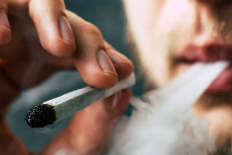 Cannabis legalization campaign in Florida rakes in $1 million in contributions