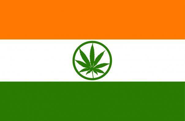 Indian+government+will+allow+cannabis+research+for+the+first+time