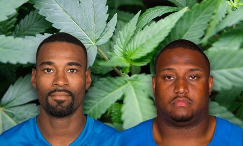 From football to weed: Former Detroit Lions players join forces with Harvard to study cannabis